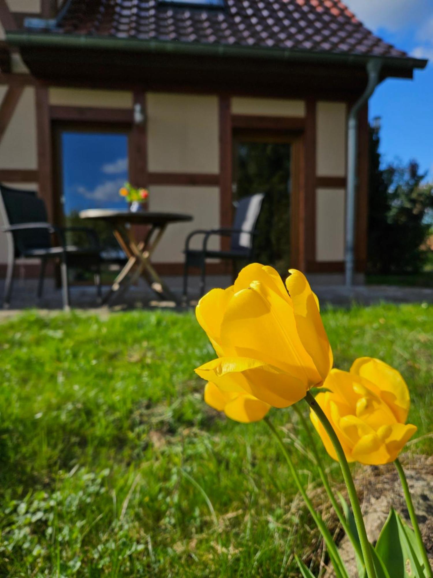 Ferienwohnung Peetsch Am See Mirow Exterior photo
